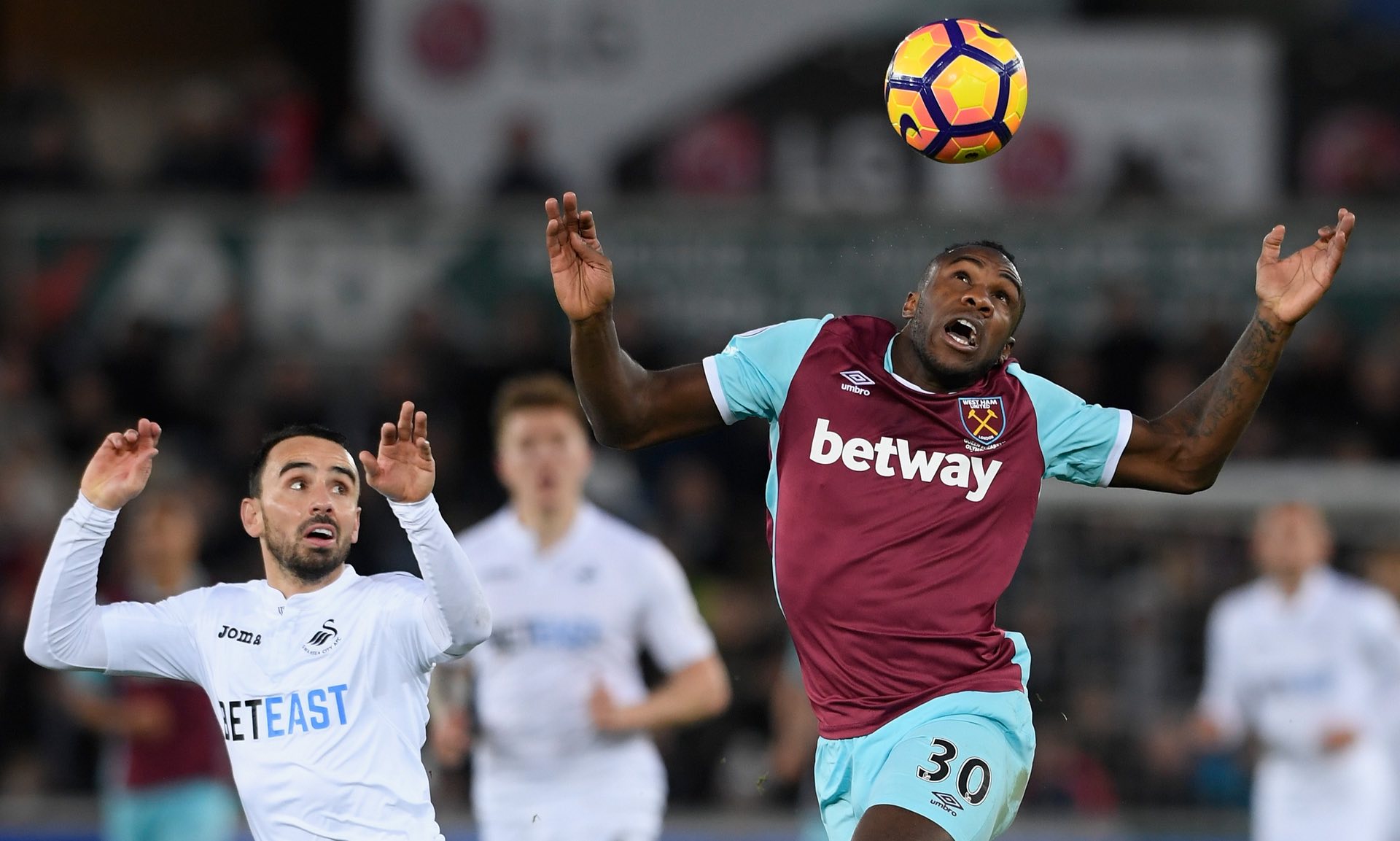 日本女足面 日本女足面